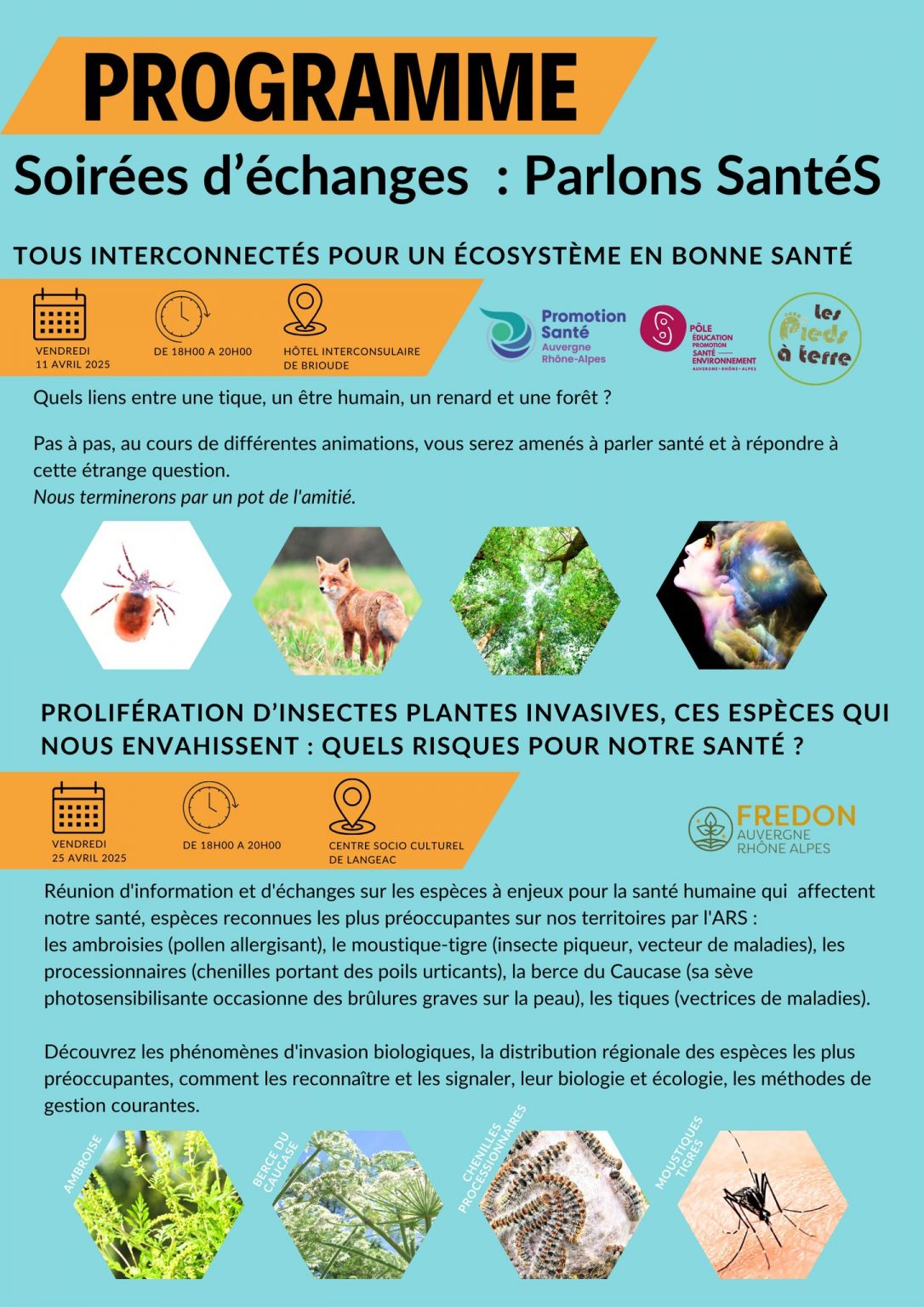 Cliquez pour agrandir
